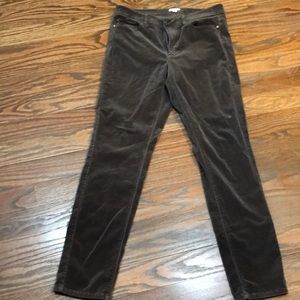 JJill velvet like pant